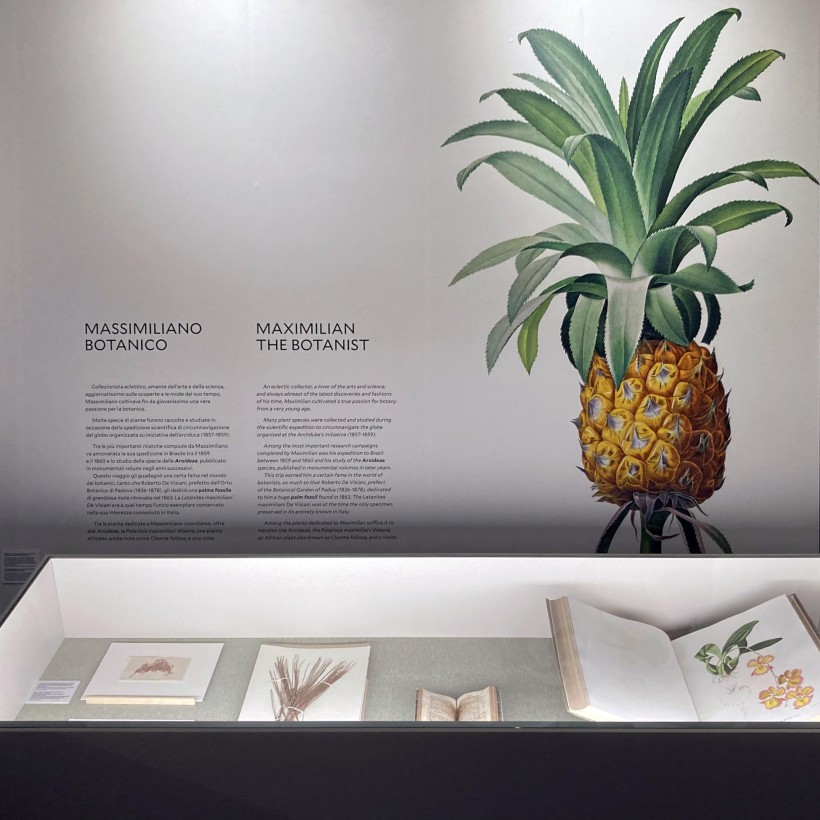 Ars Botanica dettaglio Dettaglio del progetto grafico e della tipografia.