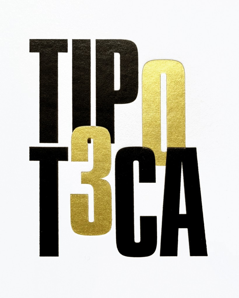 Logo celebrativo per i 30 anni della Tipoteca Italiana Fondazione dettaglio Dettaglio del logo TIP0T3cA