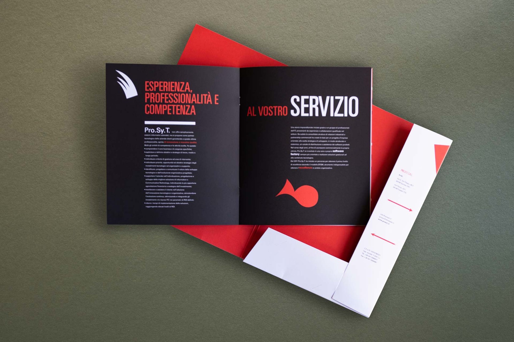 Prosyt dettaglio 